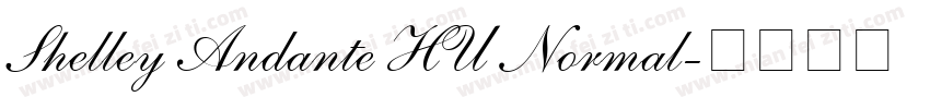 Shelley Andante HU Normal字体转换